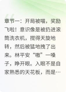 开局被喵,奖励飞啦林平安王妖妖小说完整在线阅读-英驰看书网