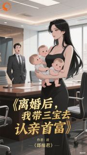 高质量小说离婚后,我带三宝去认亲首富在线试读