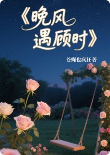 新上晚风遇顾时苍蝇也疯狂小说免费阅读