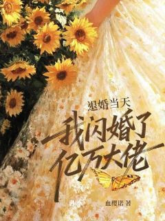百度贴吧小说退婚当天，我闪婚了亿万大佬，主角万美言天穹全文免费