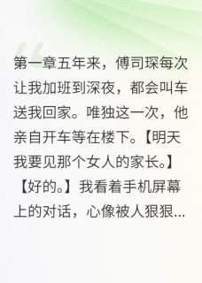 苏晴傅司琛小说结局