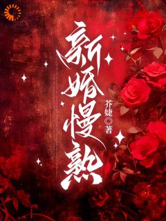 精品小说新婚慢熟全文目录畅读