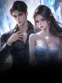 许寄北盛晚棠完整未删减版在线阅读 许寄北盛晚棠结局-英驰看书网