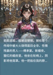 傅承宴沈清浅小说章节目录阅读-替嫁老公,我反手送他白月光入狱在哪免费看-英驰看书网