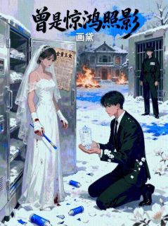 曾是惊鸿照影小说(完结)-姜瓷薄景川章节阅读