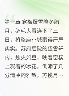 雪刃梅香小说在线阅读，主角苏挽月陆沉舟晋王精彩段落最新篇