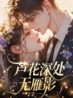 芦花深处无雁影白晚清裴少珩小说全文章节阅读-英驰看书网