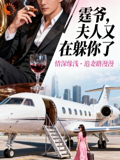 优质新书霆爷夫人又在躲你了最新章节小说全文阅读