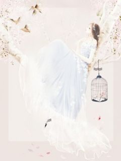 春色晚来慰寒冬商念慈席南禹全本小说(春色晚来慰寒冬)全章节小说目录阅读