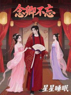 念卿不忘小说免费版阅读抖音热文-英驰看书网