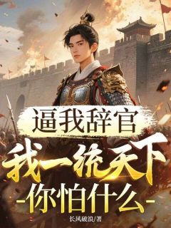 逼我辞官,我一统天下你怕什么岳子龙苏如烟-小说txt全文阅读