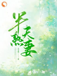 半熟夫妻小说(完结)-田小莹陆良无删减阅读