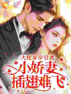 大佬步步引诱,小娇妻插翅难飞小说(完本)-温瑾沈延之无错版阅读-英驰看书网