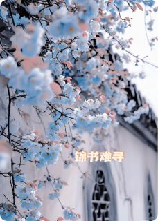 老书虫看了N遍的锦书难寻亦有托最新章节