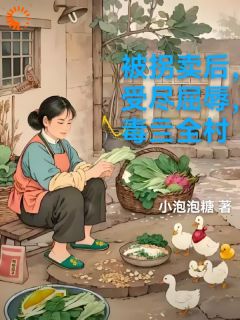 好文热推小说被拐后,她笑着毒翻全村主角白芷林宇全文在线阅读