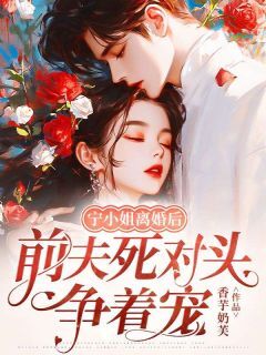 好看的宁小姐离婚后，前夫死对头争着宠小说-宁小姐离婚后，前夫死对头争着宠最新章节阅读