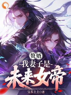 赘婿,我妻子是未来女帝(叶天慕容萱)精彩小说目录阅读