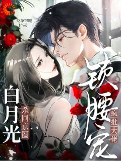 时星念盛廷小说大结局在哪看-白月光杀回京圈，疯批大佬锁腰宠完整版免费阅读