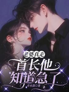 闪婚三年她提离婚,他却疯了全集小说_鹿黎栾时晏完结版阅读