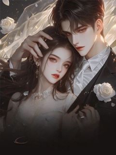 完整版远路风烟破晓行沈淮远陈婉意小说免费在线阅读