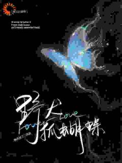 野犬抓蝴蝶(新书)小说_南星语席烬阅读