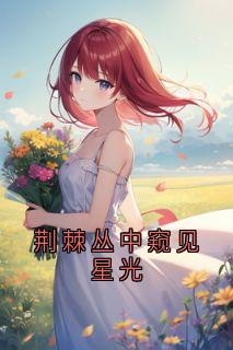 荆棘丛中窥见星光(新书)大结局在线阅读