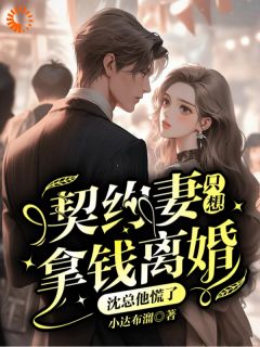 抖音爆款契约妻只想拿钱离婚,沈总他慌了完整小说(全文阅读)