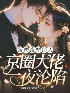 热门推荐新婚夜睡错人,京圈大佬一夜沦陷by咪咪是只猫小说正版在线