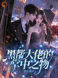 免费完结小说复仇计划翻车后，我被他盯上了叶初沈银赫无弹窗免费阅读-英驰看书网