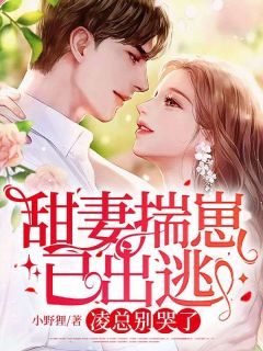 抖音小说【柳禾凌司呈】全集免费版在线阅读