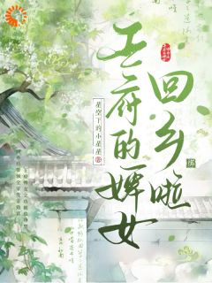 新上王府的婢女回乡啦星空下的小星星小说免费阅读