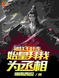 快手在战国当反贼结果被始皇当宝贝抢走小说全本章节大结局