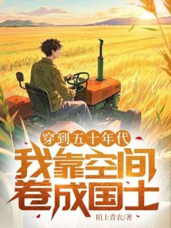 全章节小说穿到五十年代,我靠空间卷成国士陌上青衣最新阅读