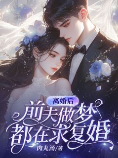 离婚后,前夫做梦都在求复婚免费阅读全文,主角秦芷漓盛淮安小说完整版最新章节