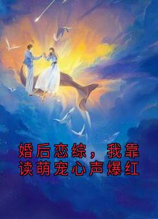 季淮阮软小说无广告阅读