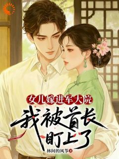 书荒必备林婉贞严旻小说