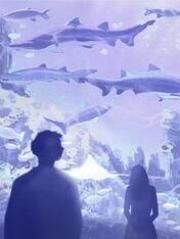 梁雨鸢金凡沈津言木千小说全章节最新阅读