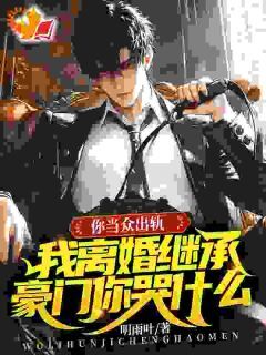 你当众出轨,我离婚继承豪门你哭什么免费阅读全文,主角顾奕辰安月宁小说