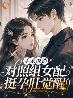 手术取消,对照组女配挺孕肚觉醒在线全文阅读-主人公孟羽棠宋鹤眠小说