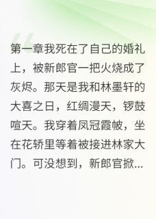 萧寒风林墨轩梦瑶小说全文免费阅读重生后我成了纸片人全文免费阅读-英驰看书网