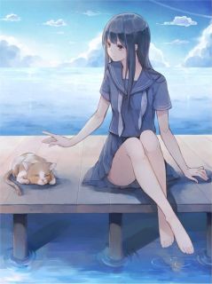 我死后,竹马疯了沈寒舟阮芷安小薇大结局在线阅读-英驰看书网