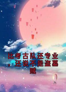 比考古队还专业，还说不是盗墓贼(秦风江白玉)全文完整版阅读