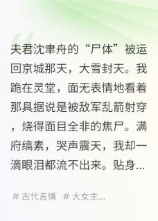 精彩小说沈聿舟萧烬言顾清沅首辅假死后,我携孕肚改嫁新帝全文目录畅读