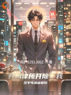 开局律所开除?我反手考进检察院最新章节 江城苏晴全文阅读-英驰看书网