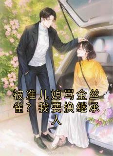 李慕云沈易辰是哪本小说主角 被准儿媳骂金丝雀?我要换继承人免费全章节阅读