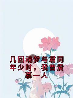 几回魂梦与君同年少时,我曾爱慕一人小说的书名是什么
