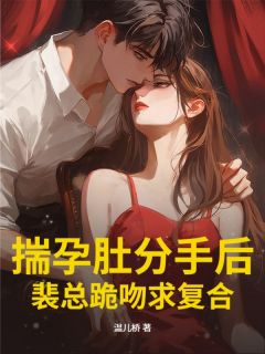 高质量小说揣孕肚分手后，裴总跪吻求复合在线试读