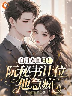 白月光回归!阮秘书让位,他急疯小说阮书意陆妄辞最新章节阅读