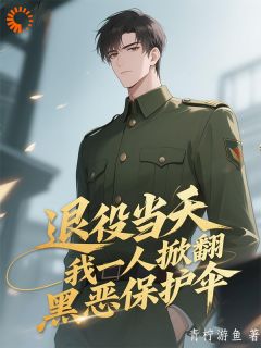 王建军王小雅小说退役当天,我一人掀翻黑恶保护伞全文阅读