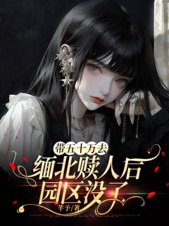 抖音爆款小说带五十万去缅北赎人后,园区没了昆泰小凯林蕊免费txt全文阅读